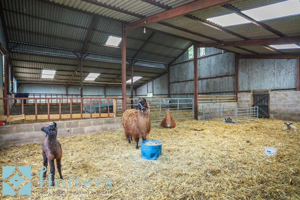 Outbuilding Interior 1.jpg