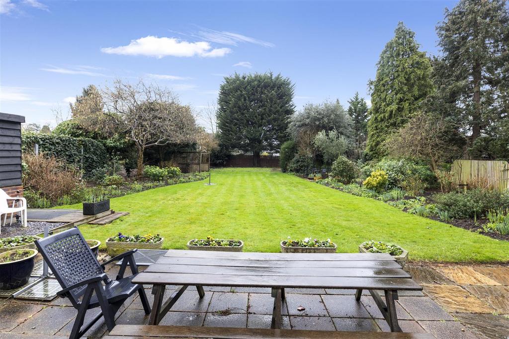 Beauchamp Road garden.JPG