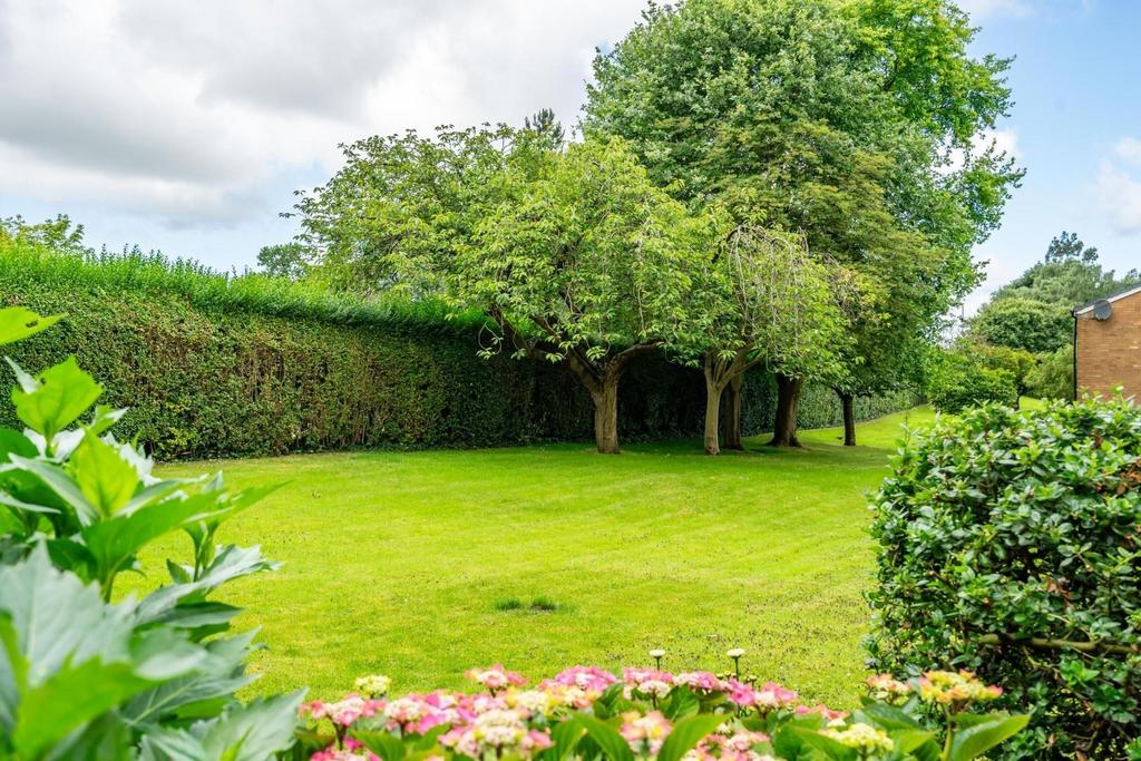 Zmdr OXms-E-Kg RBk Dcc QGQ.jpg