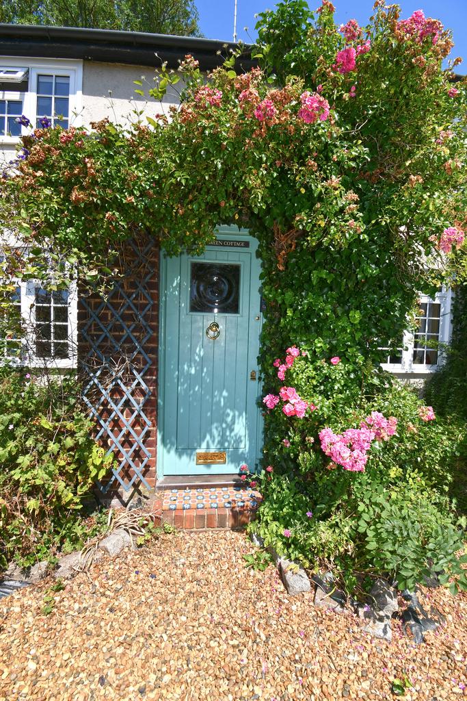 Entrance Door