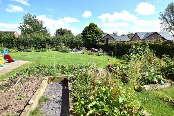 Vegetable garden