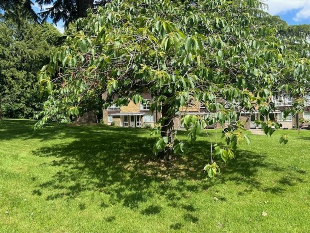 1 cotswold communal