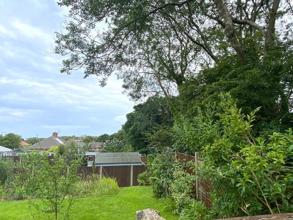 Img 0763