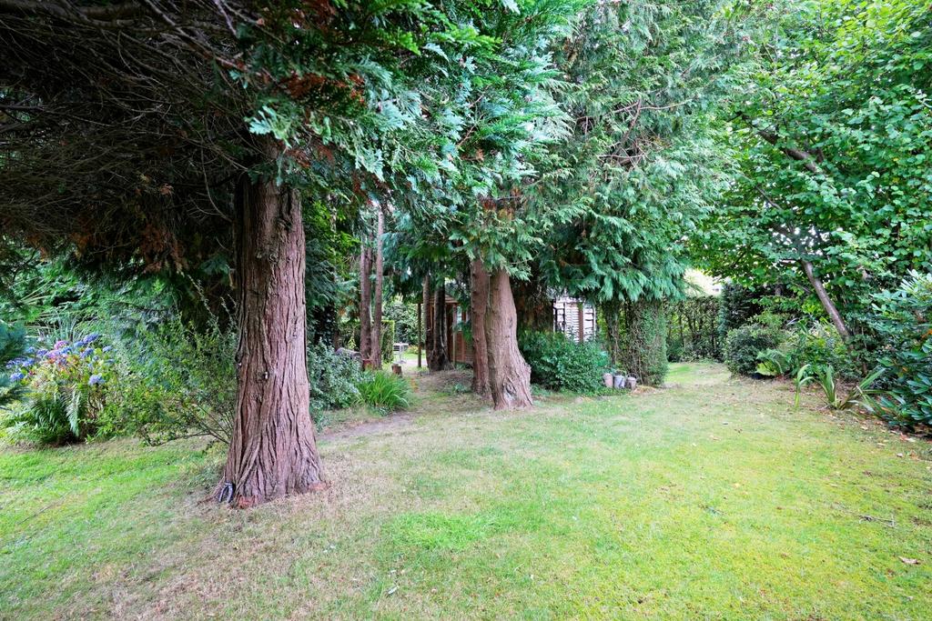 Woodland