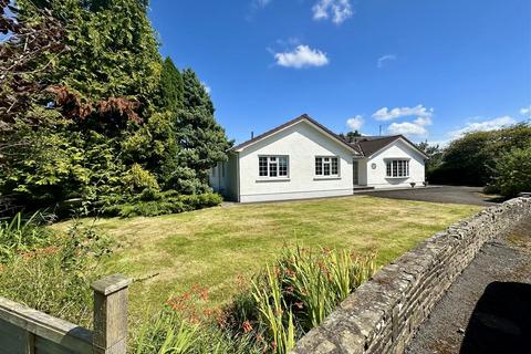 undefined, Falcondale Drive, Lampeter