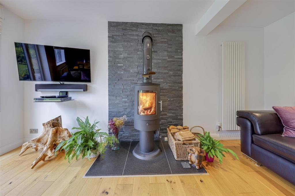 Feature Fire