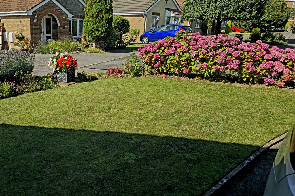 Front Garden