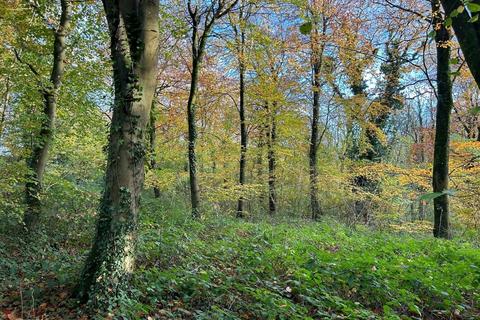 Farm land for sale, Approx. 21.23 acres of woodland at Langcross Wood, Leckwith Road, Landough