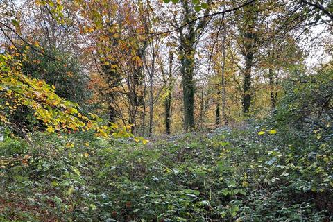 Farm land for sale, Approx. 21.23 acres of woodland at Langcross Wood, Leckwith Road, Landough