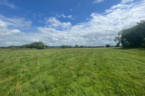 Farm land for sale, Steart Drove, Pitney, Langport, TA10