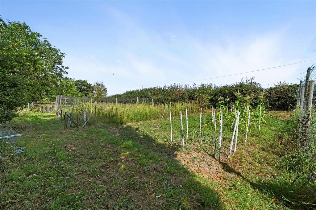 Vegetable/Fruit Garden