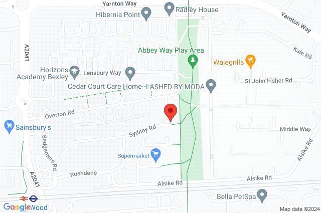 Google Maps Image