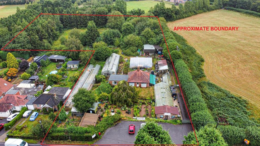 Photo 19-08-2024, 13 57 49 (1) Alto.jpg