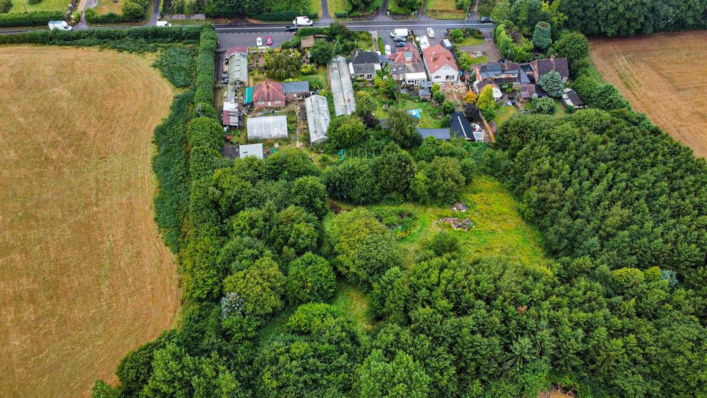 Photo 19-08-2024, 13 57 49 (10) Alto.jpg