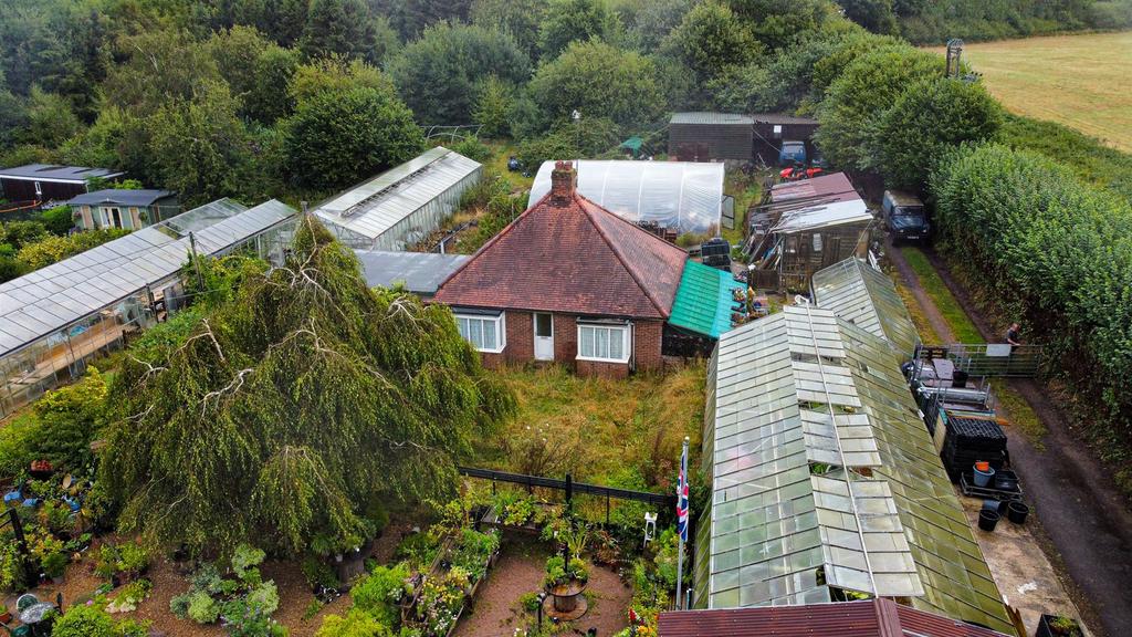 Photo 19-08-2024, 13 57 49 (39) Alto.jpg