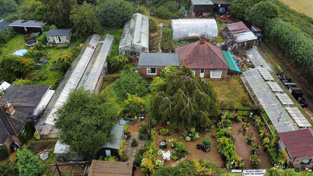 Photo 19-08-2024, 13 57 49 (37) Alto.jpg