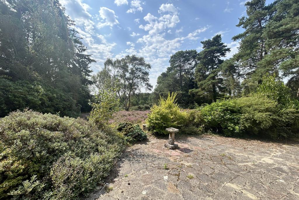 Heather Mede Garden 2