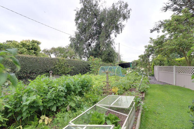 Vegetable Garden