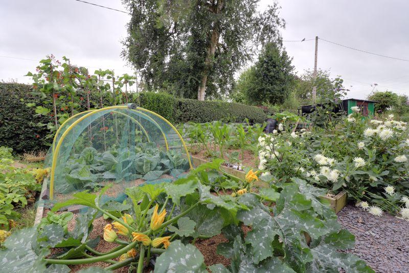 Vegetable Garden