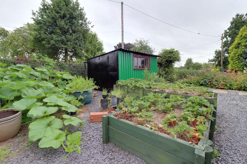 Vegetable Garden