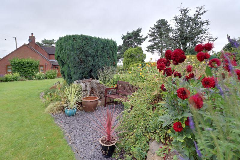 Garden Seating Area