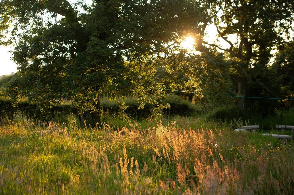 Waterstone Grounds