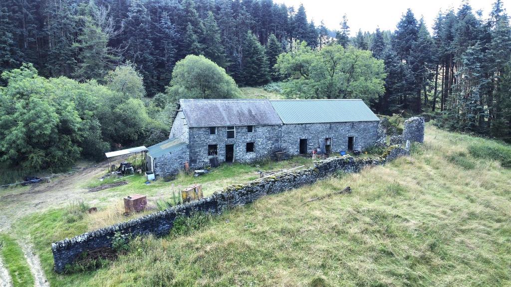 Dji fly 20240814 120254 687 1723633383741 photo op