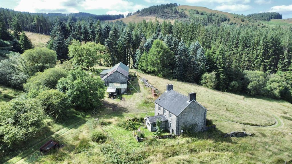 Dji fly 20240814 115408 667 1723632855986 photo op