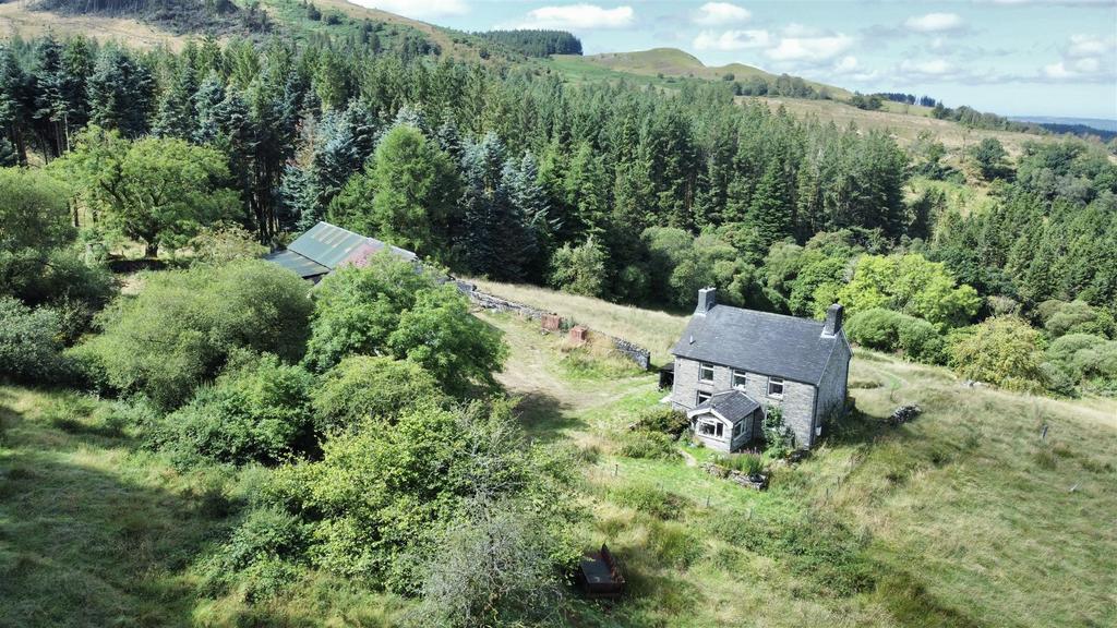 Dji fly 20240814 115332 664 1723632818333 photo op