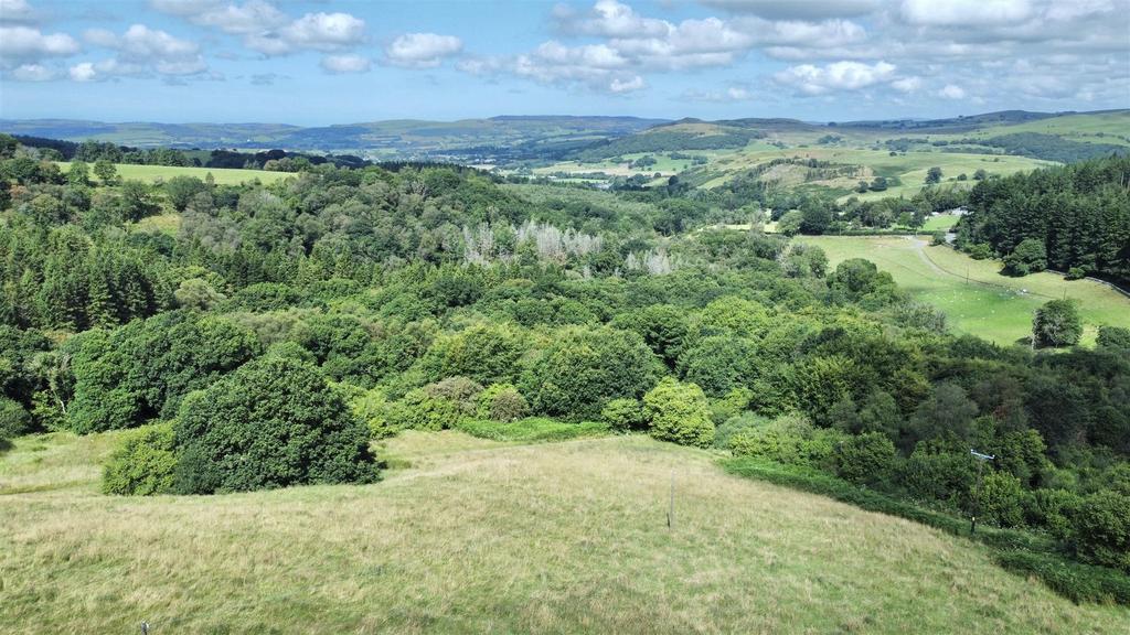 Dji fly 20240814 115356 666 1723632858993 photo op