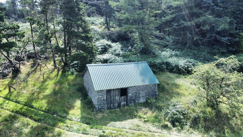 Dji fly 20240814 115424 668 1723632895488 photo op