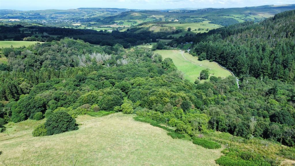 Dji fly 20240814 115728 679 1723633130667 photo op