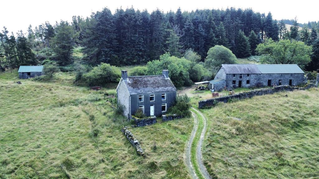 Dji fly 20240814 120158 684 1723633357290 photo op