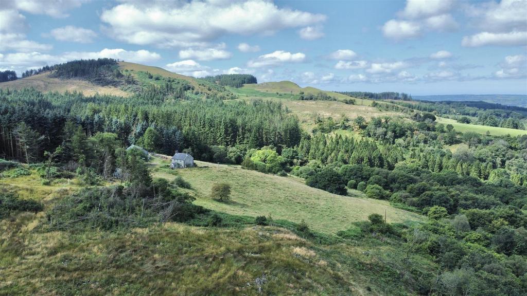 Dji fly 20240814 115242 662 1723632771308 photo op