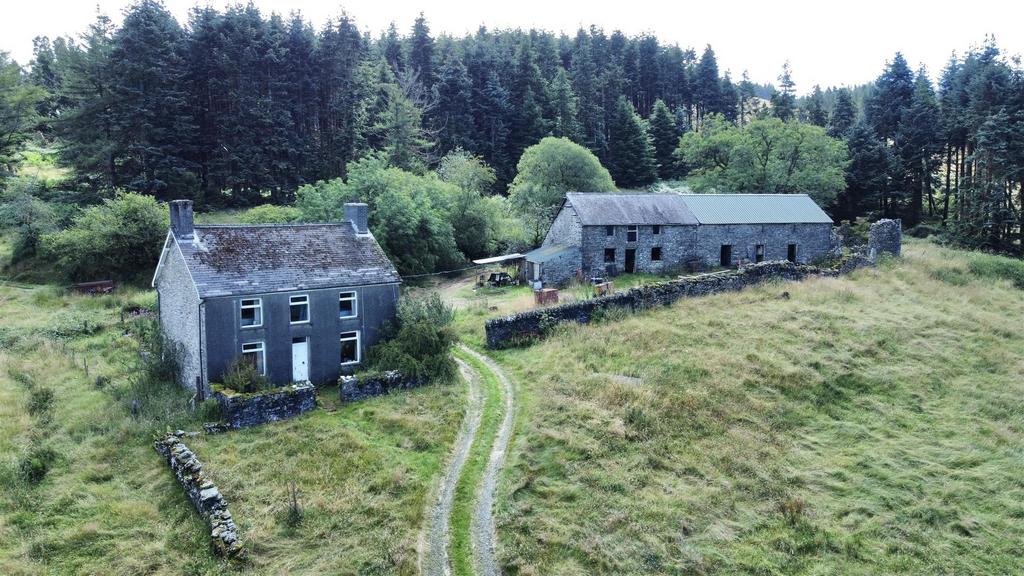 Dji fly 20240814 120142 683 1723633366611 photo op