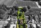 Additional image 2 of Long Lane, Chester, CH2