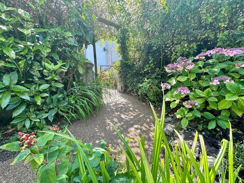 Established planting