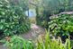 Established planting