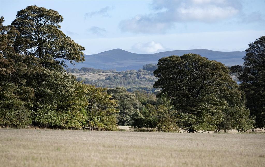 Views To Pentlands