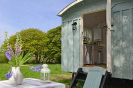 Shepherd's hut