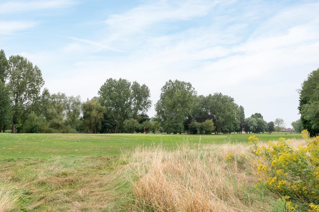 View of golf course