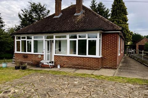 3 bedroom detached bungalow to rent, To Let - Hernhill, Faversham