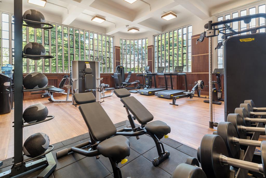 Gymnestle1