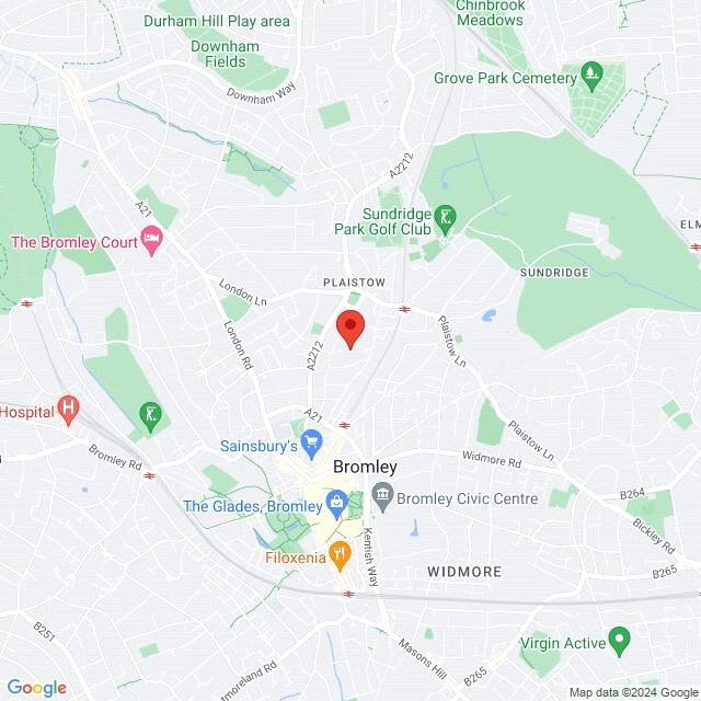 Google Maps Image