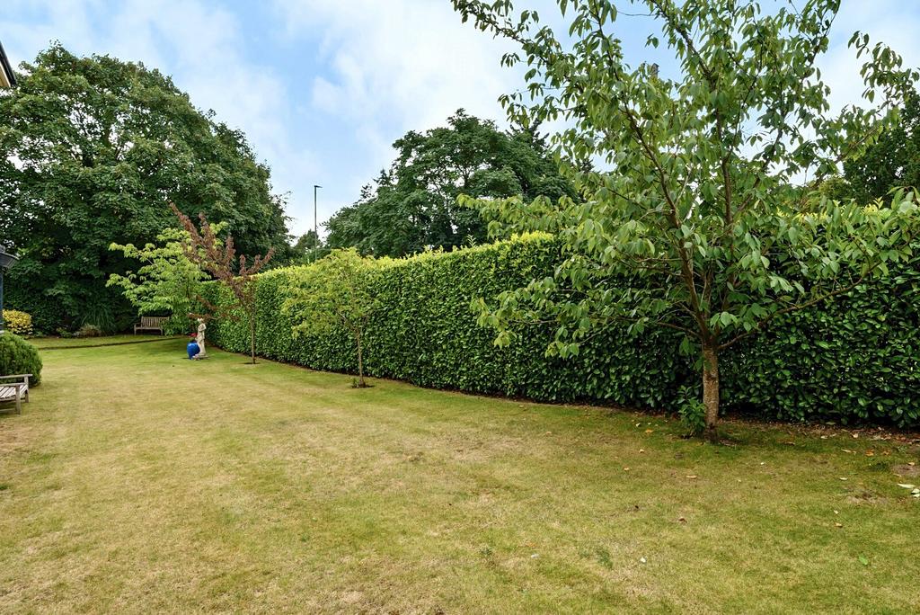 Communal Garden