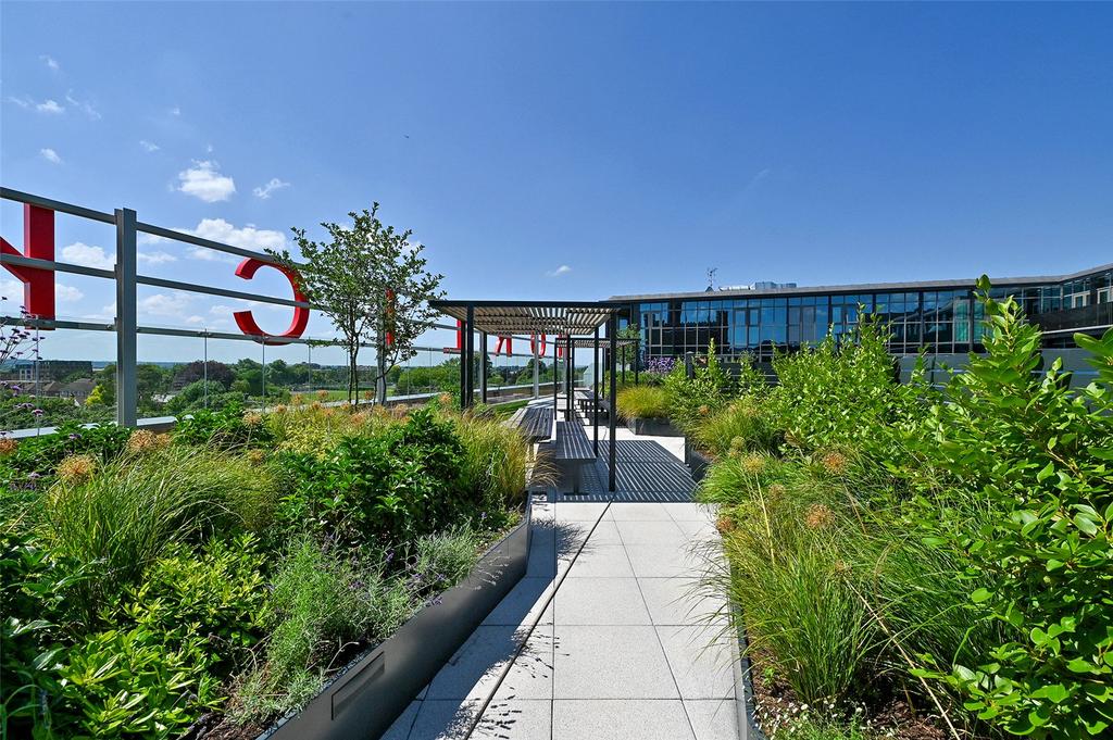 Rooftop Garden