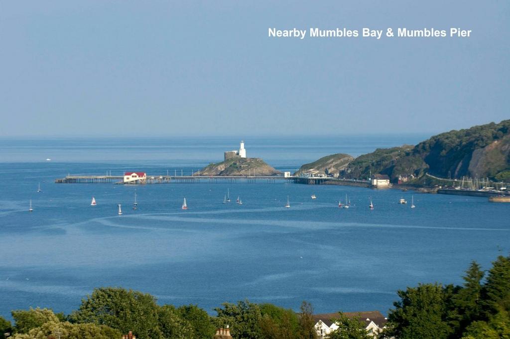 Mumbles Bay &amp; Pier Local Area.jpg