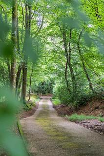 5 bedroom detached house for sale, Bakers Lane, Dallington, Heathfield, East Sussex