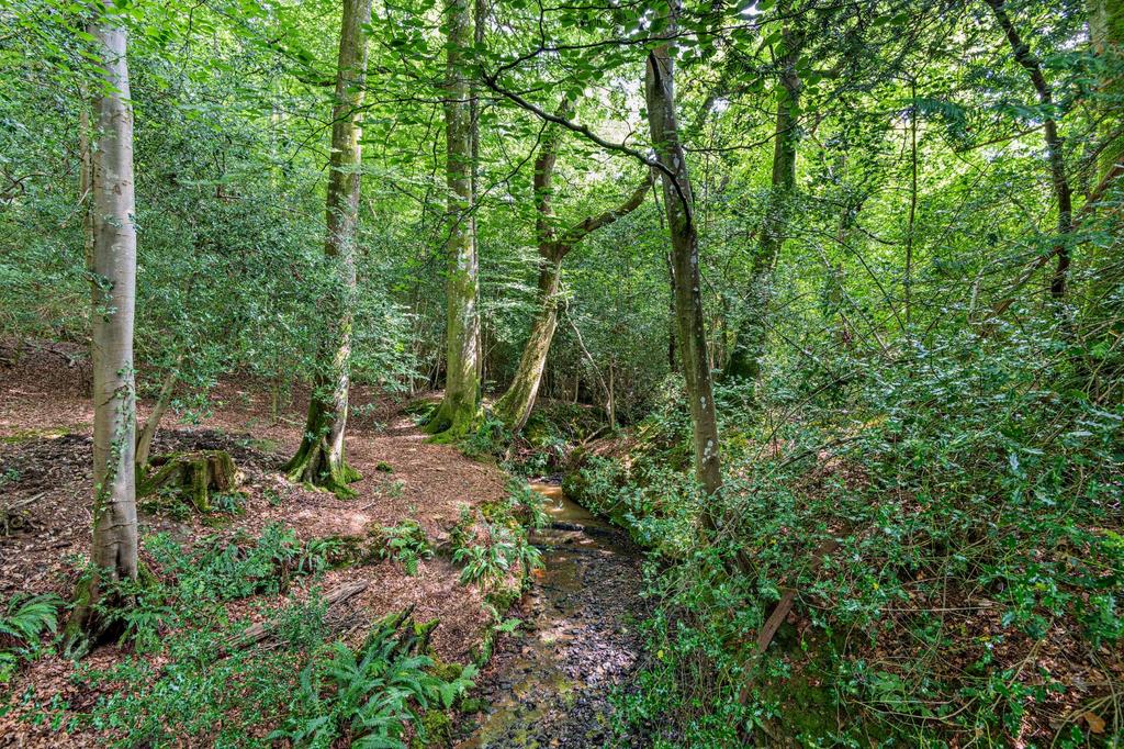 Woodland