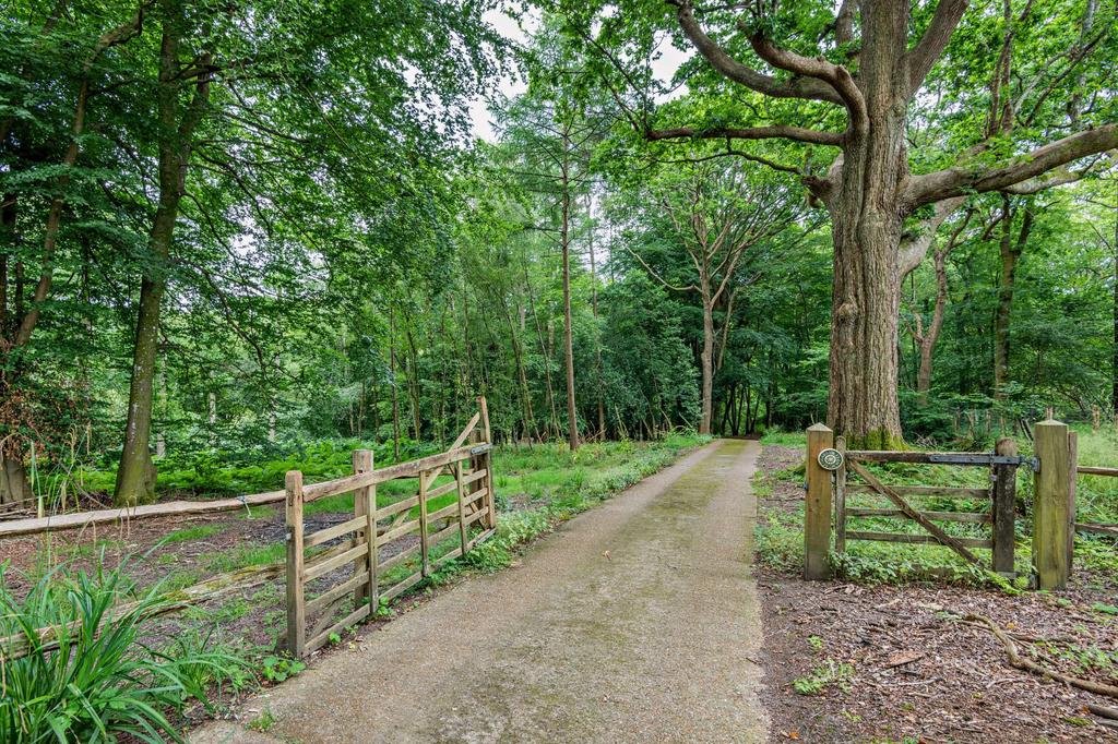 Driveway